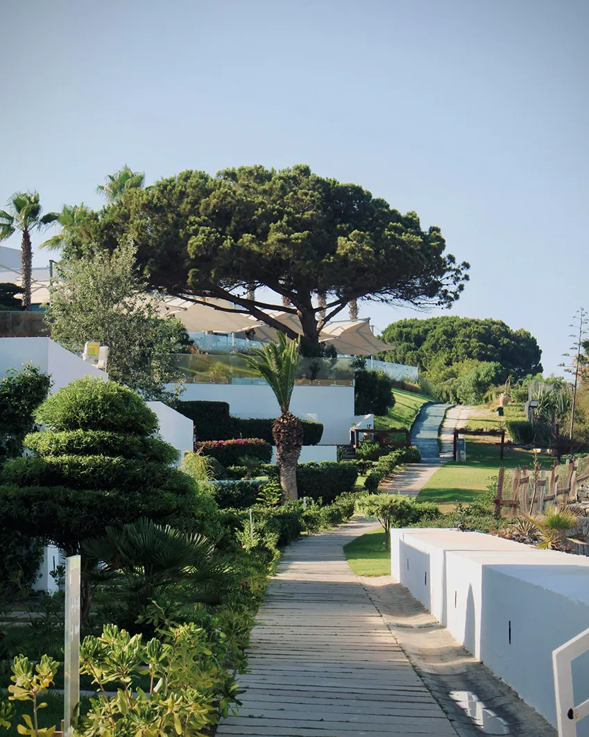 Design & Environment